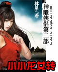 神雕侠侣第二部小小龙女转