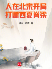 人在北宋,开局打断西夏脊梁!