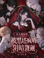 万人迷向导,被黑塔疯哨阴暗觊觎